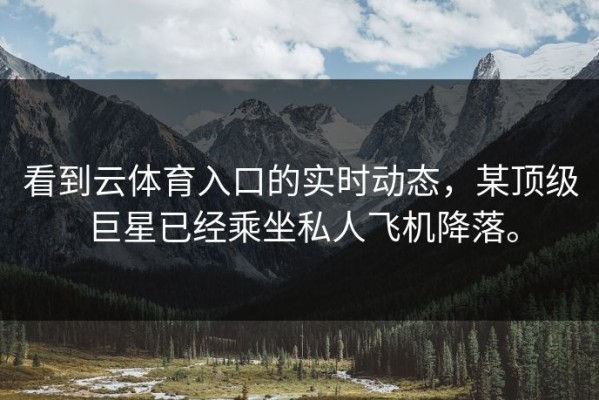 看到云体育入口的实时动态，某顶级巨星已经乘坐私人飞机降落。