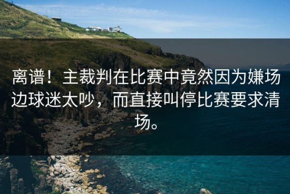 离谱！主裁判在比赛中竟然因为嫌场边球迷太吵，而直接叫停比赛要求清场。